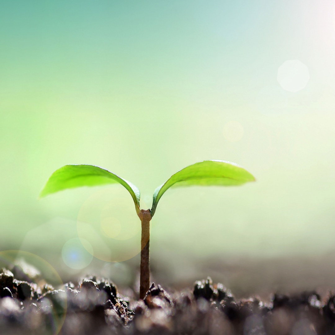 「考える習慣」を身につけ、「考える力」を