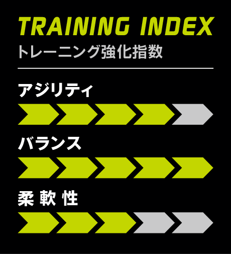 TRAINING INDEX