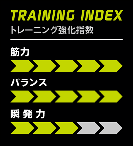 TRAINING INDEX