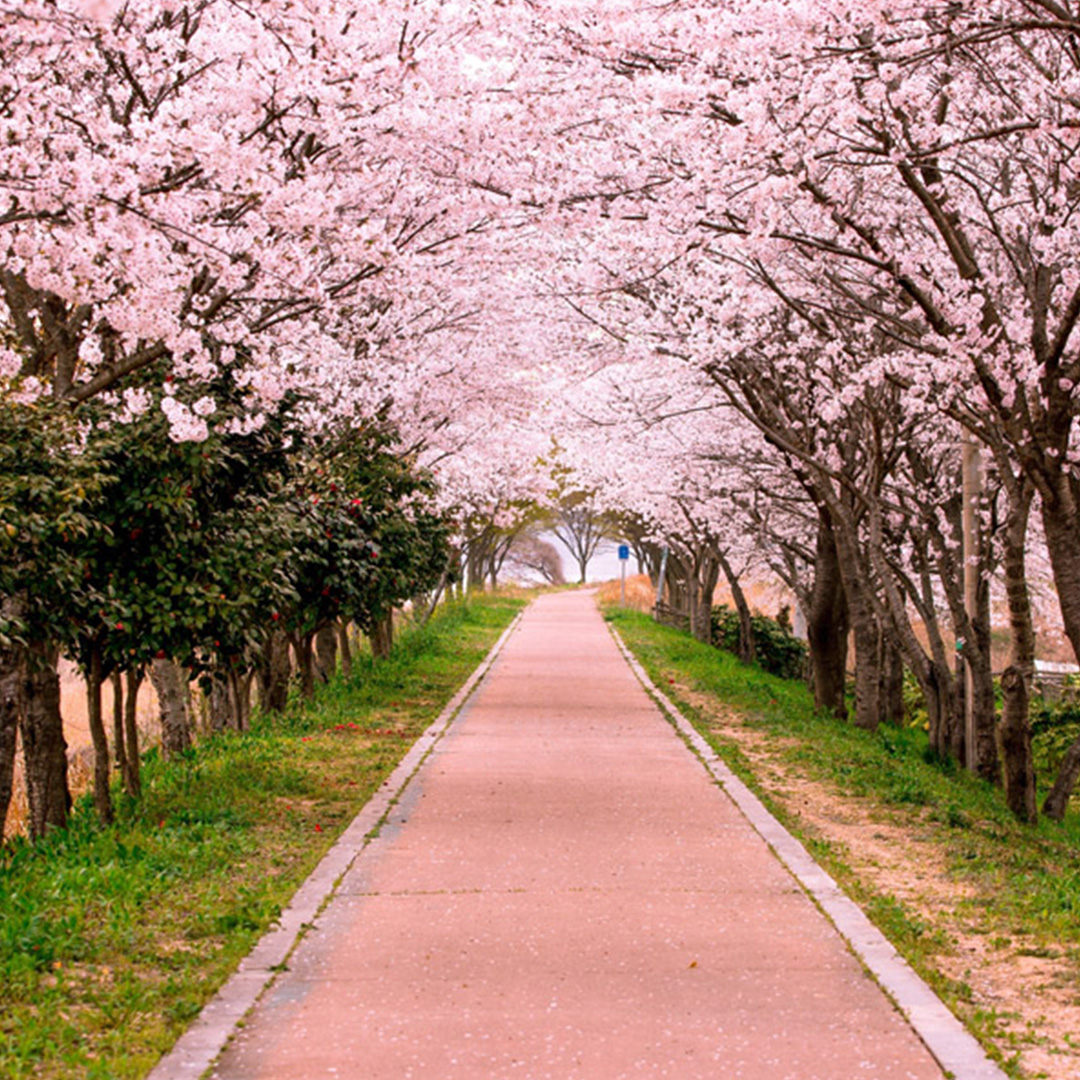 新年度にやるべきルーティン② 健康チェック