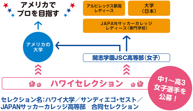 ハワイセレクション