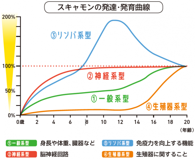 スキャモンの発達・発育曲線
