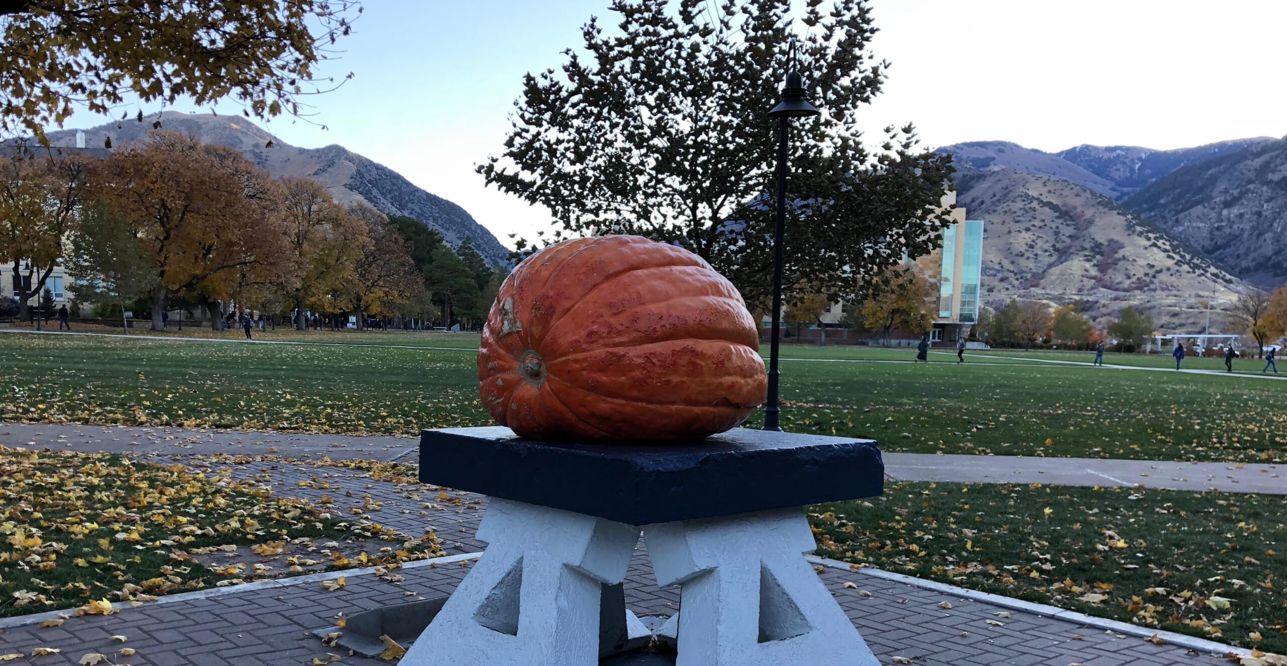 アメリカ少年サッカー記８　怪我と向き合う