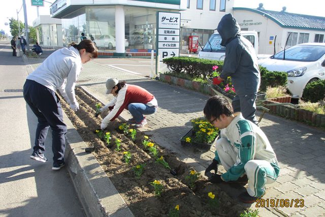 花の寄せ植え活動