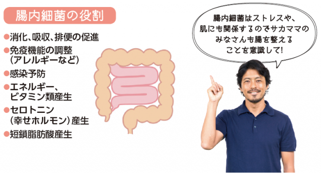 腸内細菌の役割