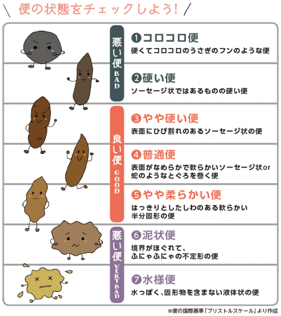 便の状態をチェックしよう