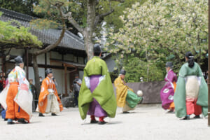 サッカーファミリーのお出かけにオススメ！球技上達の神様がいる「白峯神宮」って？