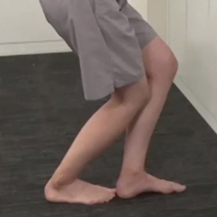 　ヒラメ筋(ふくらはぎの深層にある筋)