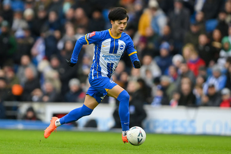 三笘 薫（ブライトン／MF）