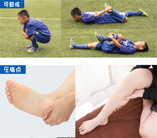 可動域・圧痛点