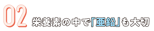 02.栄養素の中で「亜鉛」も大切