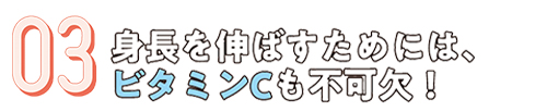 03.身長を伸ばすためには、ビタミンCも不可欠！