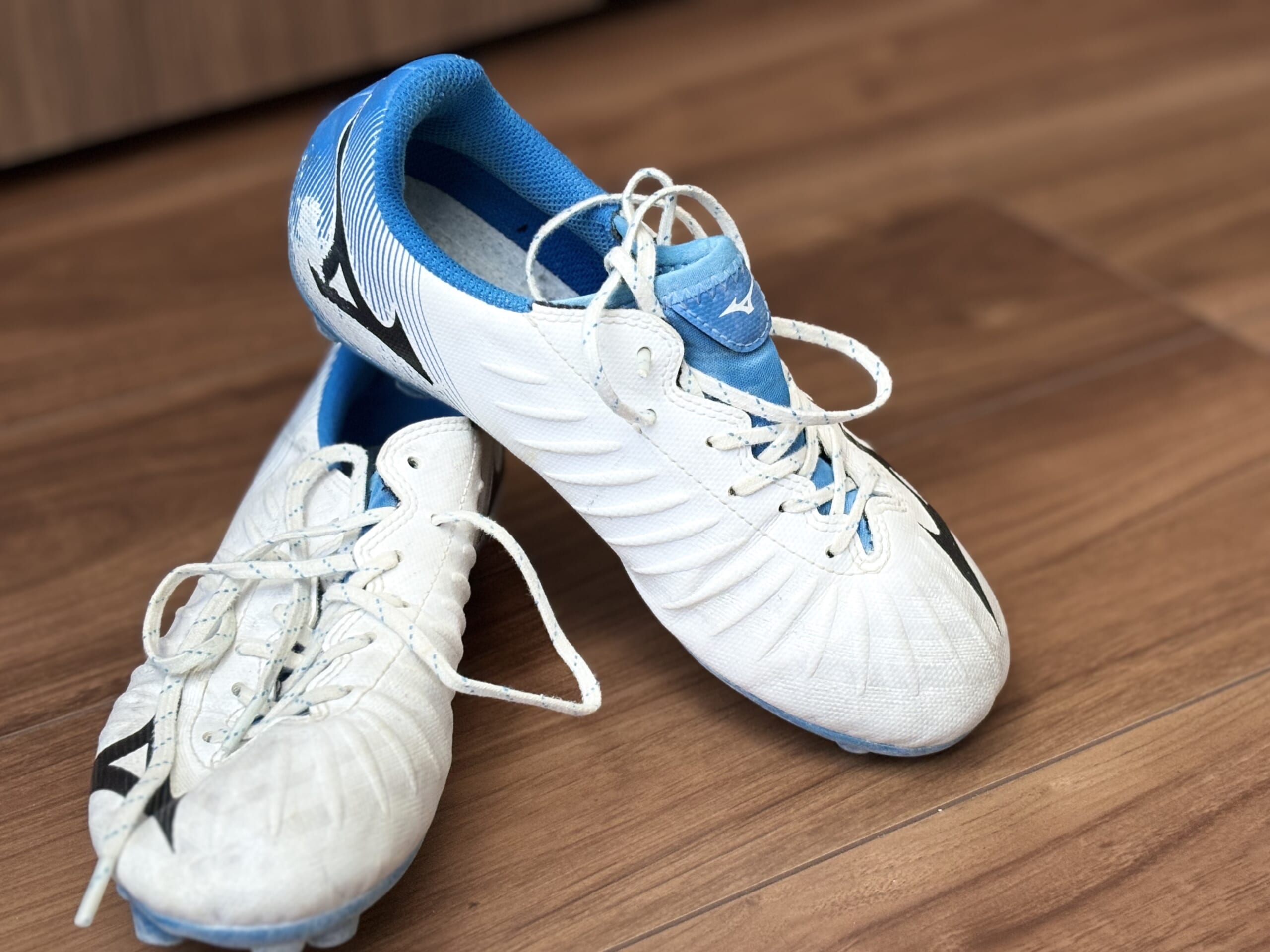 サカママバトン－子どももサカママも楽しいと思えるサッカー道に向けて 【Monocular #30】