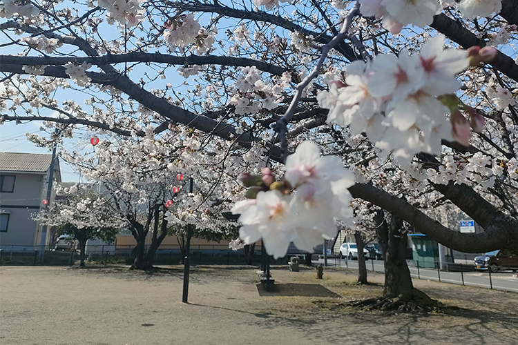 親は焦らず！ 苦労したジュニア年代から、新中学2年生になり、開花し始めた長男の成長記録！